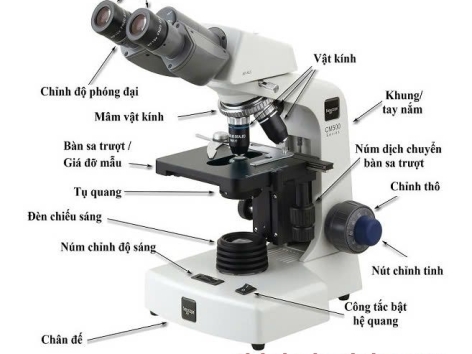 Cấu tạo và Cách sử dụng kính hiển vi quang học